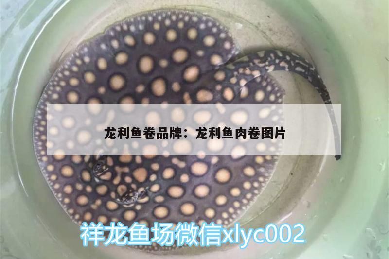 龍魚干蝦有營養嗎 龍利魚卷品牌:龍利魚肉卷圖片 觀賞魚百科 龍利魚卷品牌:龍利魚肉卷圖片 龍利魚卷品牌:龍利魚肉卷圖片 觀賞魚百科