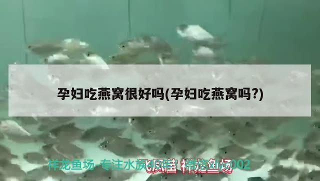 小魚缸批發市場（小魚缸批發市場地址）
