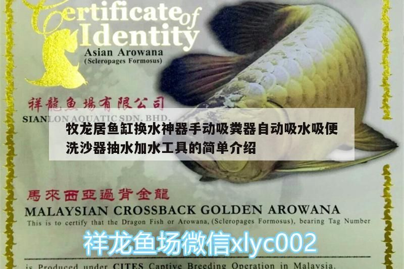 牧龍居魚缸換水神器手動吸糞器自動吸水吸便洗沙器抽水加水工具的簡單介紹