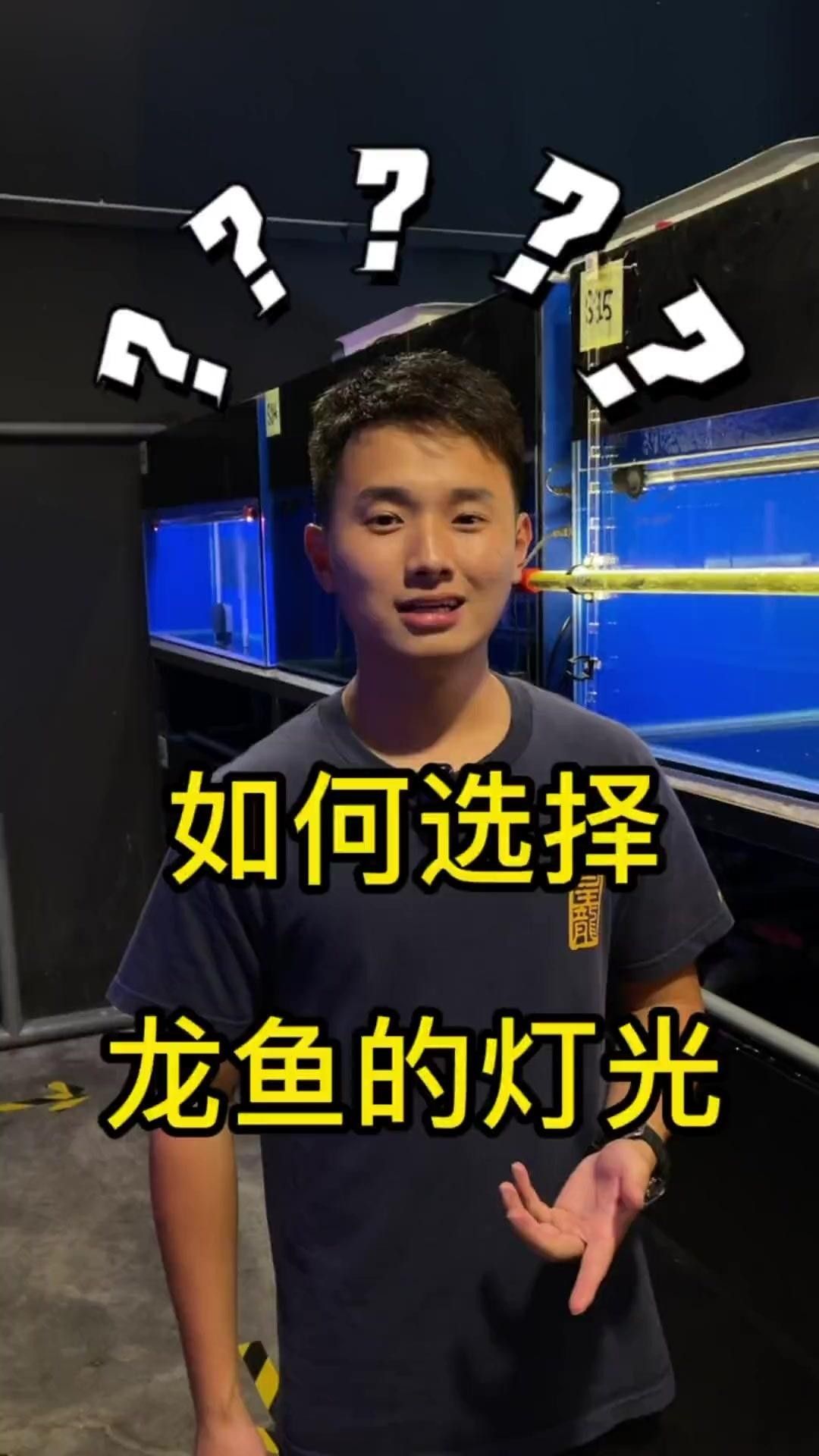 龍魚用什么顏色的燈光