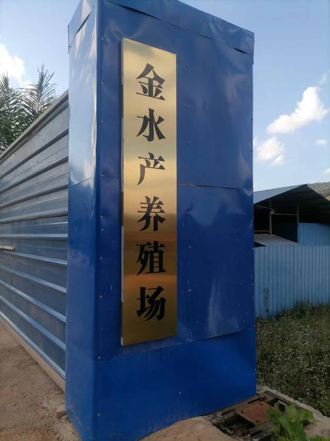 勐臘龍魚