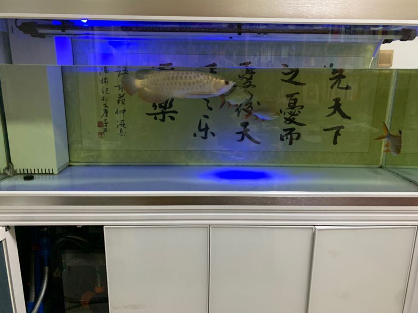 【換水讓我快樂！勞動(dòng)人民最光榮！】