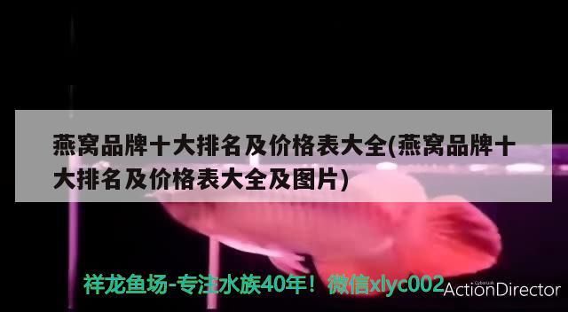 燕窩品牌十大排名及價格表大全(燕窩品牌十大排名及價格表大全及圖片)