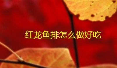 紅龍魚怎么做