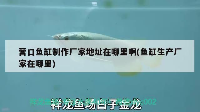 營口魚缸制作廠家地址在哪里啊(魚缸生產(chǎn)廠家在哪里)