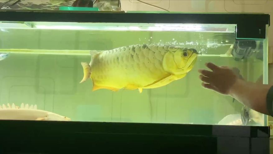 人生何處不相逢