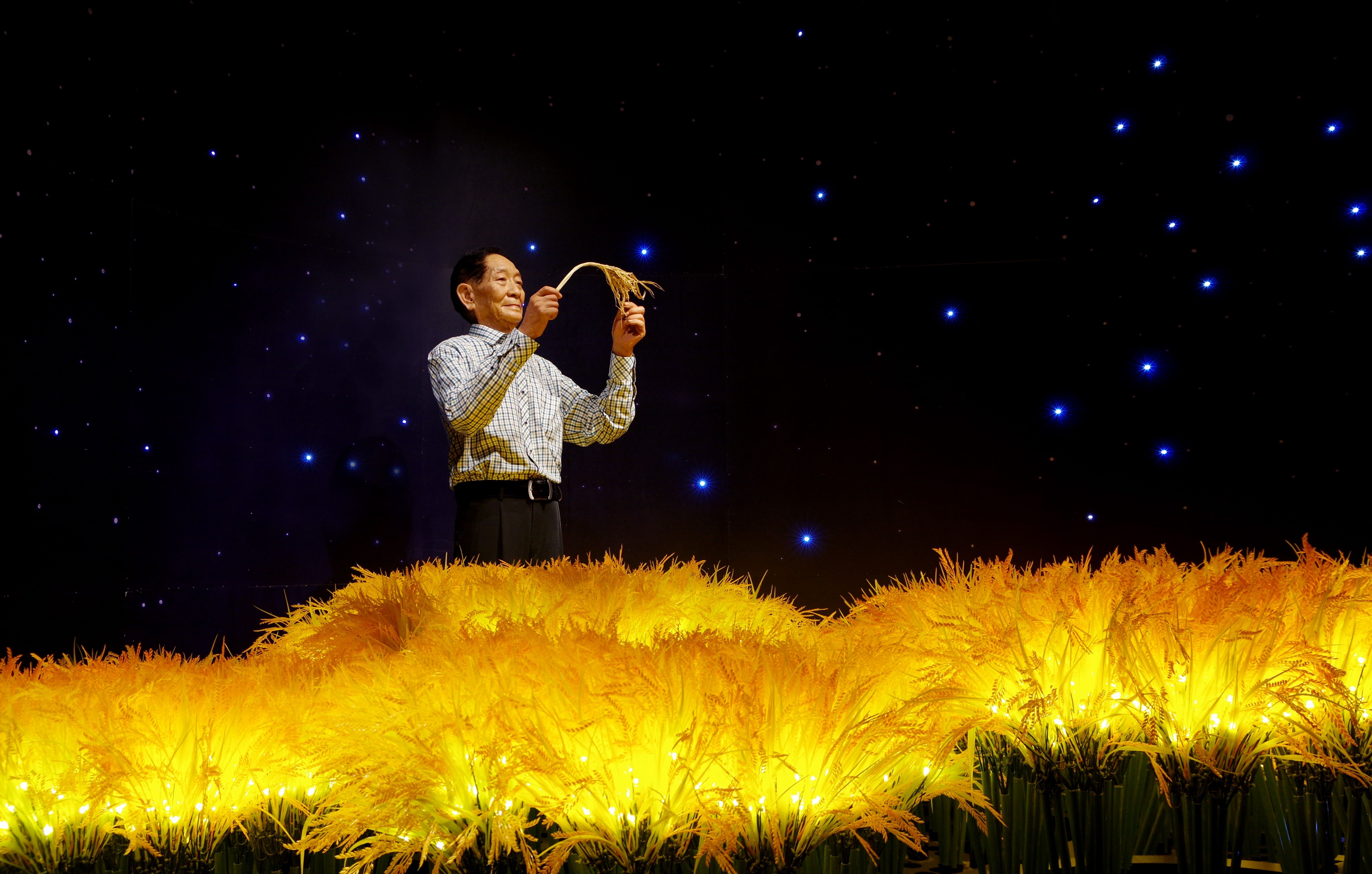 鼓浪嶼紅娘魚龍頭魚