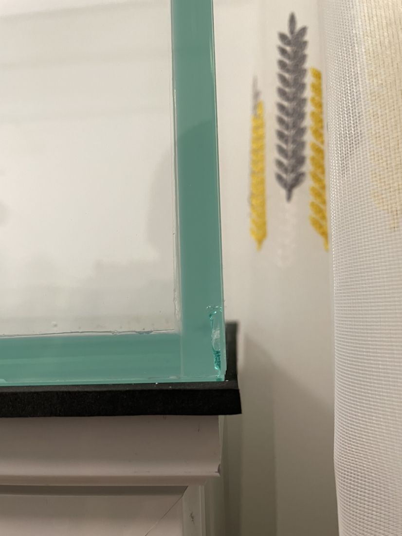 這個魚缸還能不能要？
