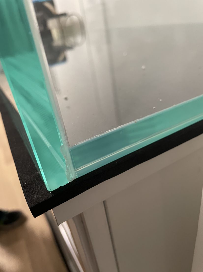 這個魚缸還能不能要？