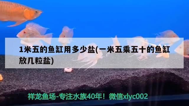 1米五的魚缸用多少鹽(一米五乘五十的魚缸放幾粒鹽) 1米五的魚缸用多少鹽(一米五乘五十的魚缸放幾粒鹽) 觀賞魚百科