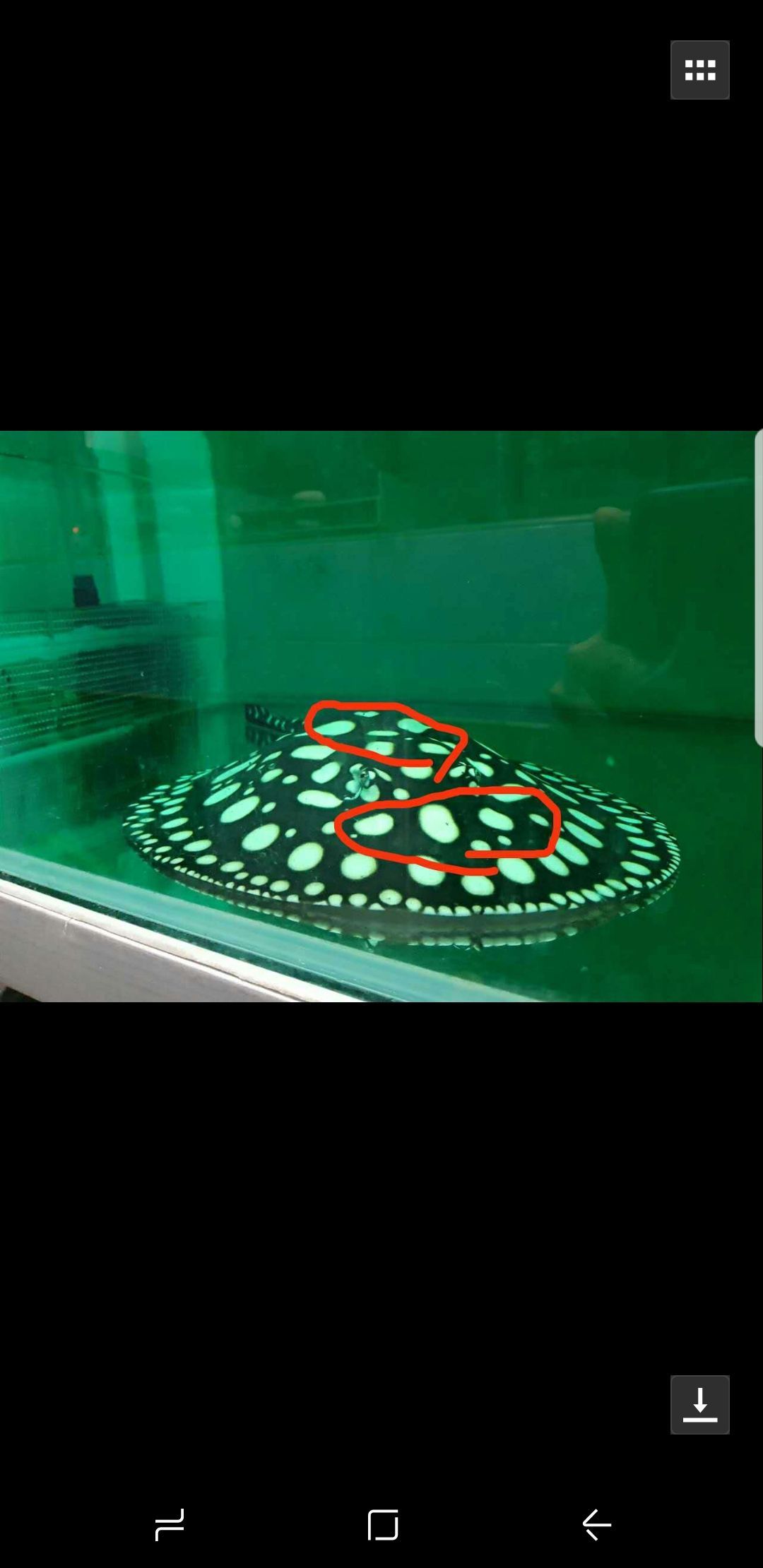 簽到舊圖