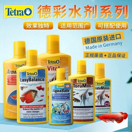 德國龍魚活力黑水 觀賞魚百科 第4張 德國龍魚活力黑水 德國龍魚活力黑水 觀賞魚百科 第4張