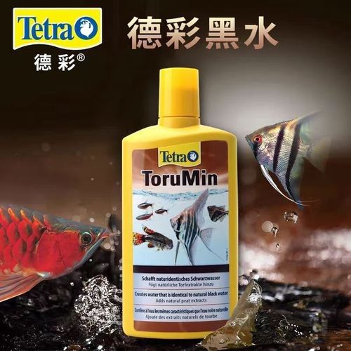 德國龍魚活力黑水 觀賞魚百科 第6張 德國龍魚活力黑水 德國龍魚活力黑水 觀賞魚百科 第6張