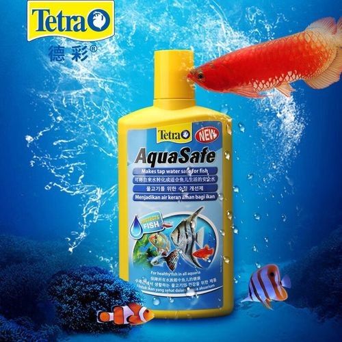 德國龍魚活力黑水 德國龍魚活力黑水 觀賞魚百科 第9張