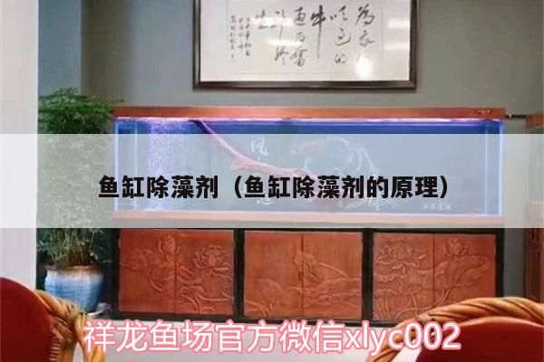魚(yú)缸除藻劑（魚(yú)缸除藻劑的原理）