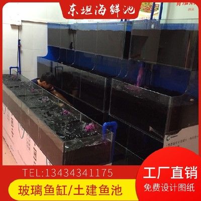 龍魚爬缸多久能恢復正常水質（龍魚爬缸多久能恢復正常水質啊）