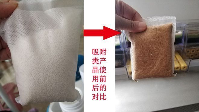 濰坊觀賞魚批發(fā)市場在哪兒（濰坊觀賞魚批發(fā)市場在哪兒啊）