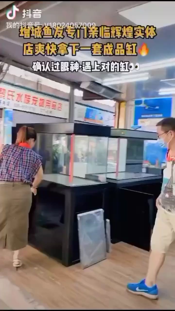 佛山觀賞魚市場確認過眼神·遇上對的缸