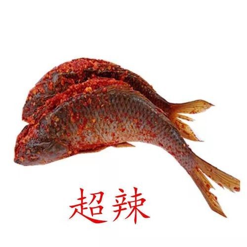 榕江金龍魚是不是雜牌子