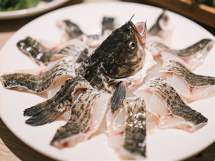 濟陽龍魚為何要少吃