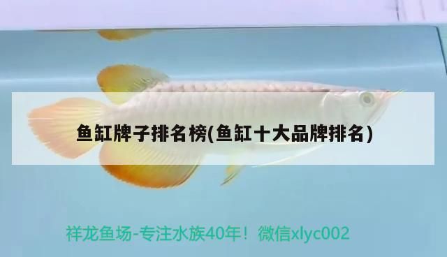 魚缸牌子排名榜(魚缸十大品牌排名)