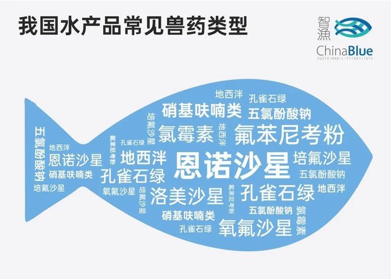 委內(nèi)瑞拉紅勾丁魚最忌三種藥