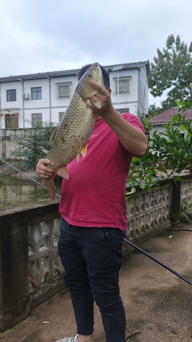 武勝釣魚的地方