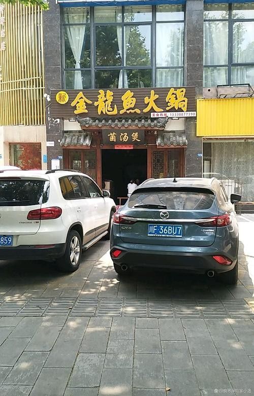 鄭州金龍魚