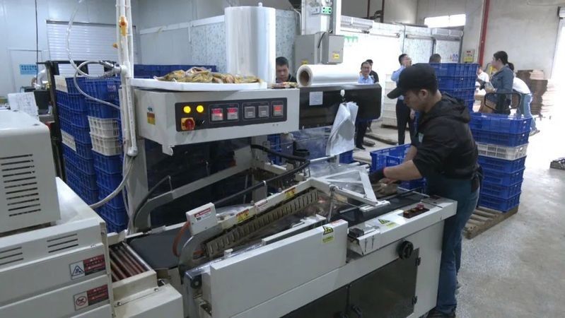 沙縣圣龍食品有限公司 沙縣圣龍食品有限公司 觀賞魚百科 第2張