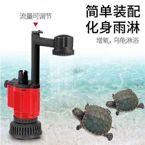 成都哪里可以買魚缸水泥(成都賣魚缸比較集中的地方)