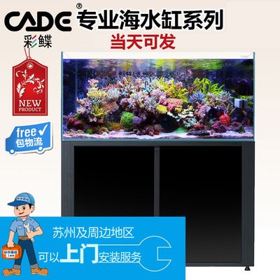 龍魚掉眼什么樣圖片（龍魚掉眼什么樣圖片大全）