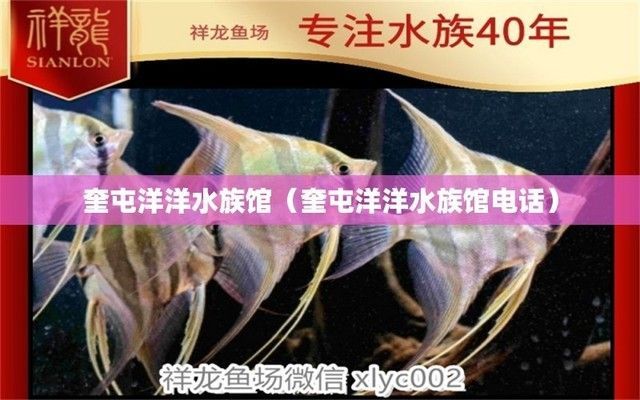 襄樊水族館：襄陽市樊城區新華貴水族館