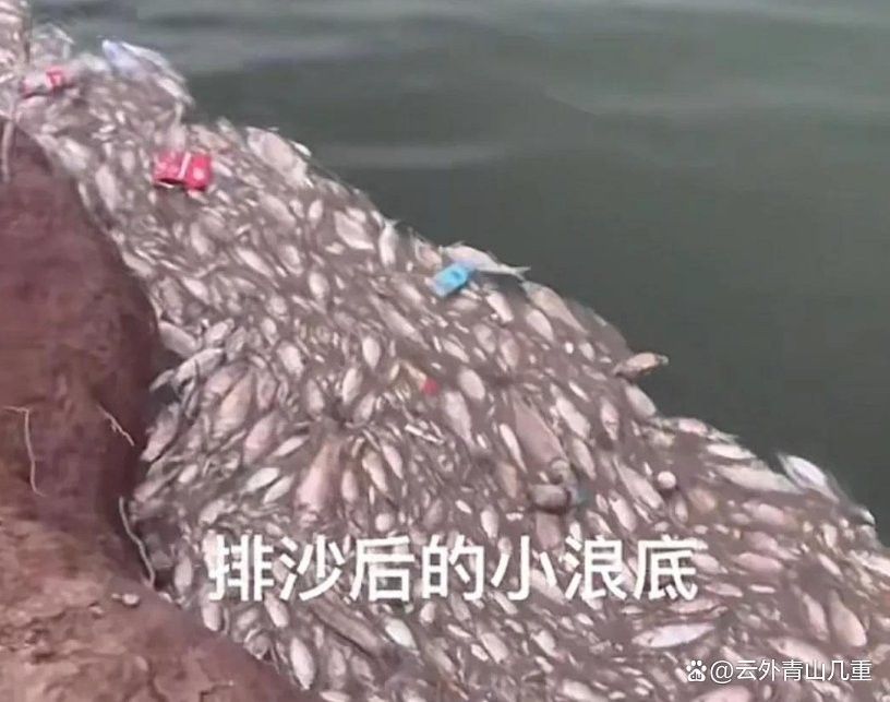 垣曲釣魚的地方