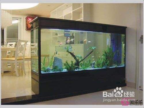 木板做魚缸(魚缸造型木)