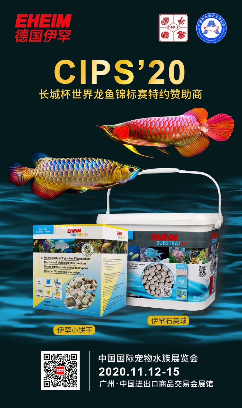阿里水族館2022長城杯世界龍魚錦標賽簡訊