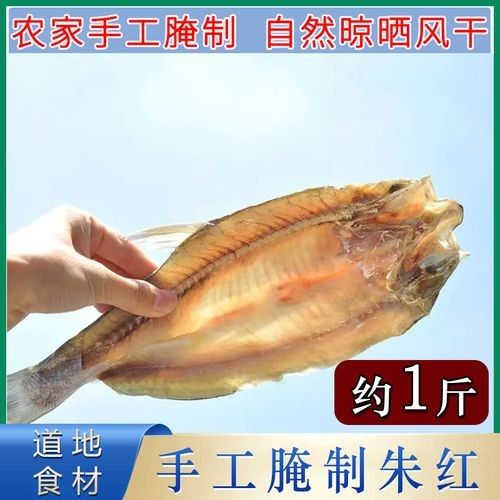 樅陽金龍魚