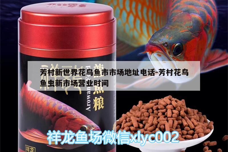 芳村新世界花鳥魚市市場地址電話:芳村花鳥魚蟲新市場營業時間