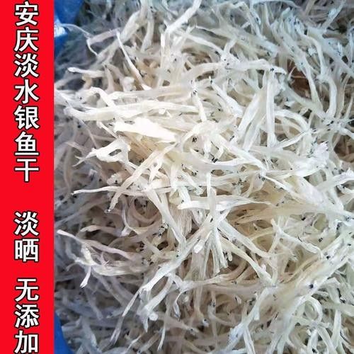 宿松銀魚 宿松銀魚 觀賞魚百科 第1張