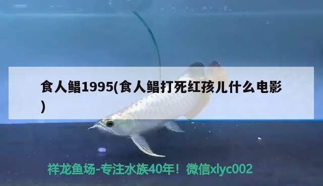 食人鯧1995(食人鯧打死紅孩兒什么電影)