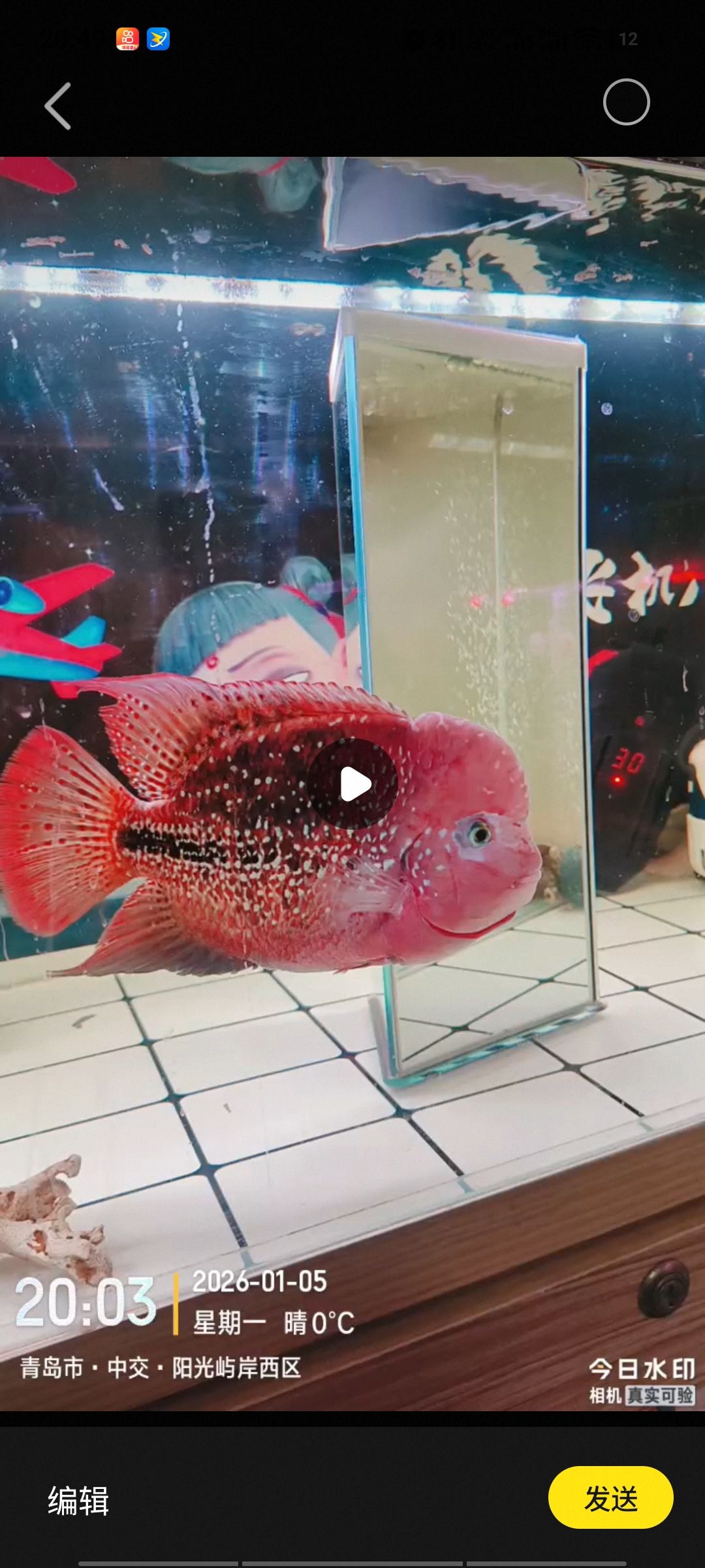 有沒有大神看看這條魚值什么價