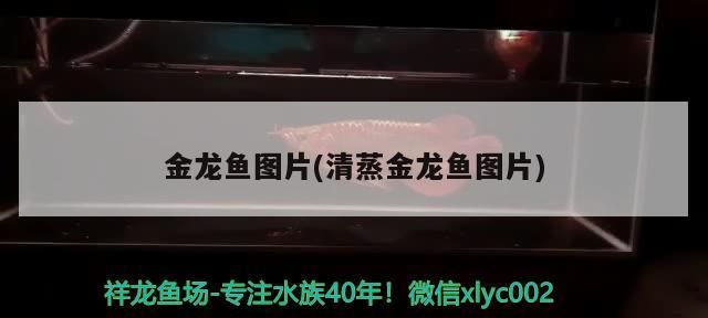 彩蝶魚缸售后服務電話號碼是多少號(彩蝶魚缸生產廠家)