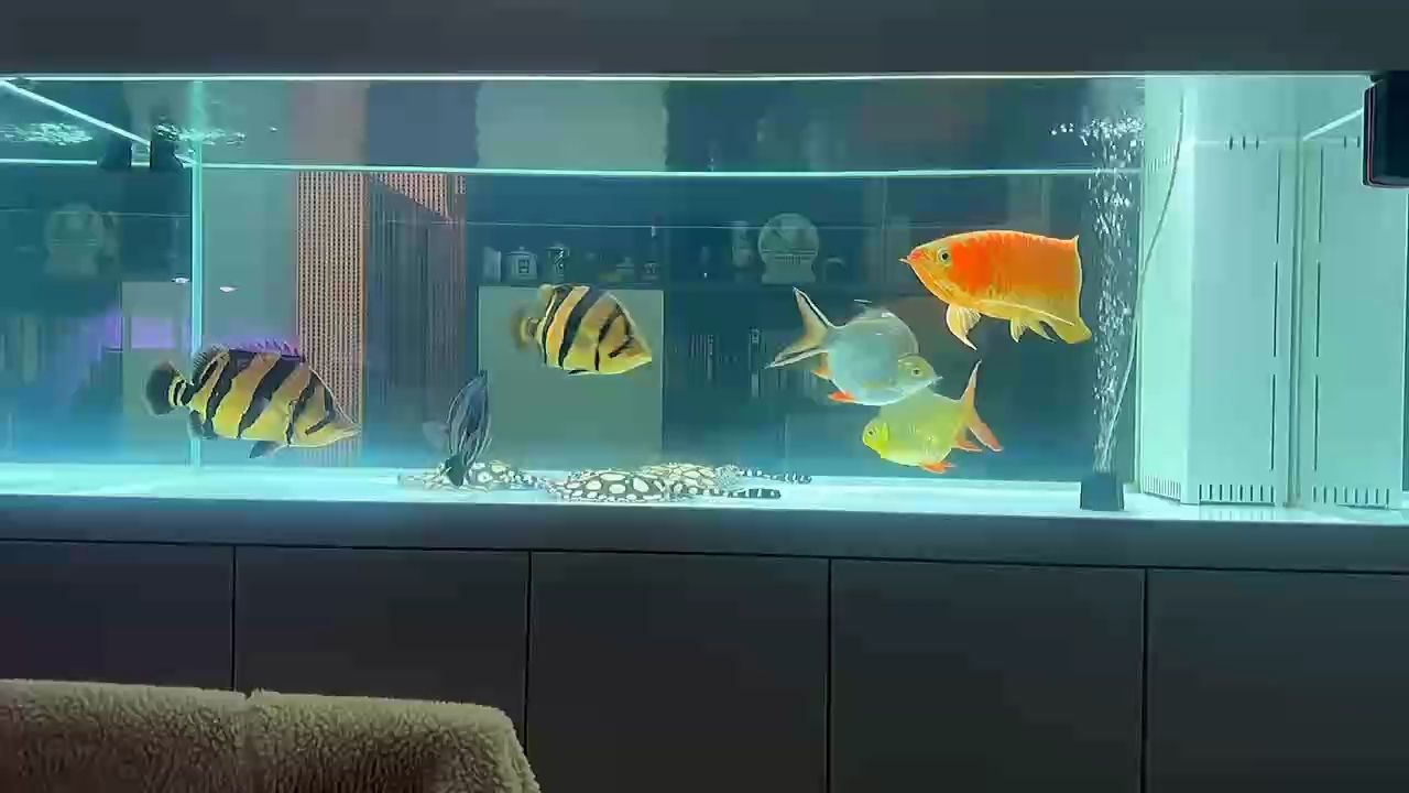 寒意