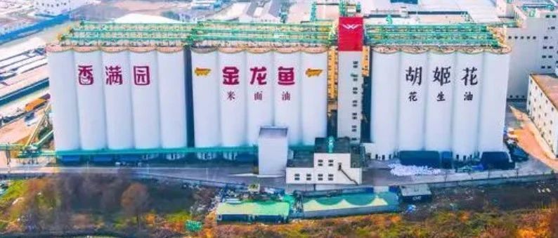 保定龍魚手術電話（保定龍魚手術后恢復期需要多長時間？）