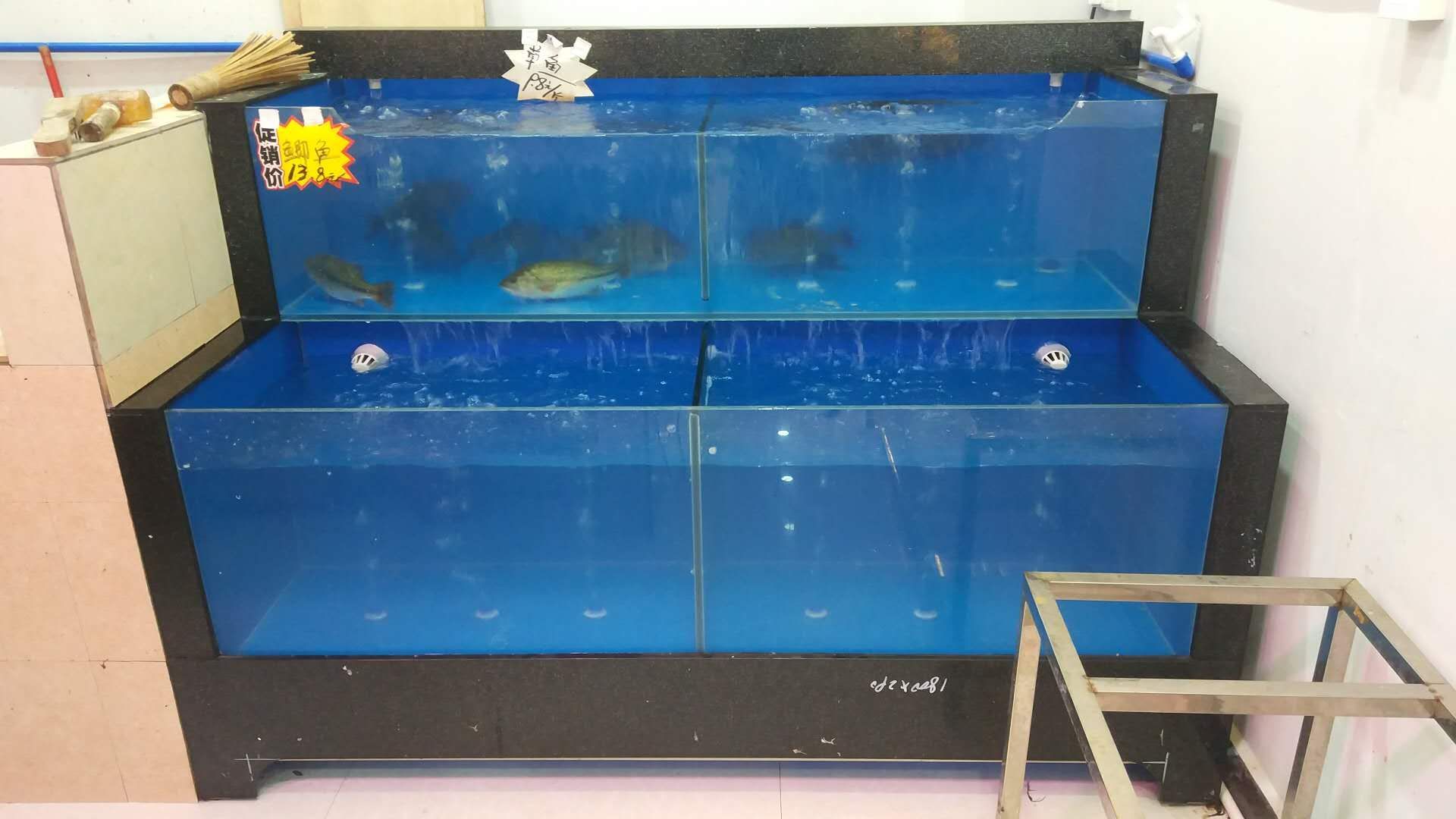 廣州買(mǎi)魚(yú)缸去哪里買(mǎi)好一點(diǎn)的：廣州水族用品市場(chǎng)分析廣州水族用品市場(chǎng)分析廣州特色水族館