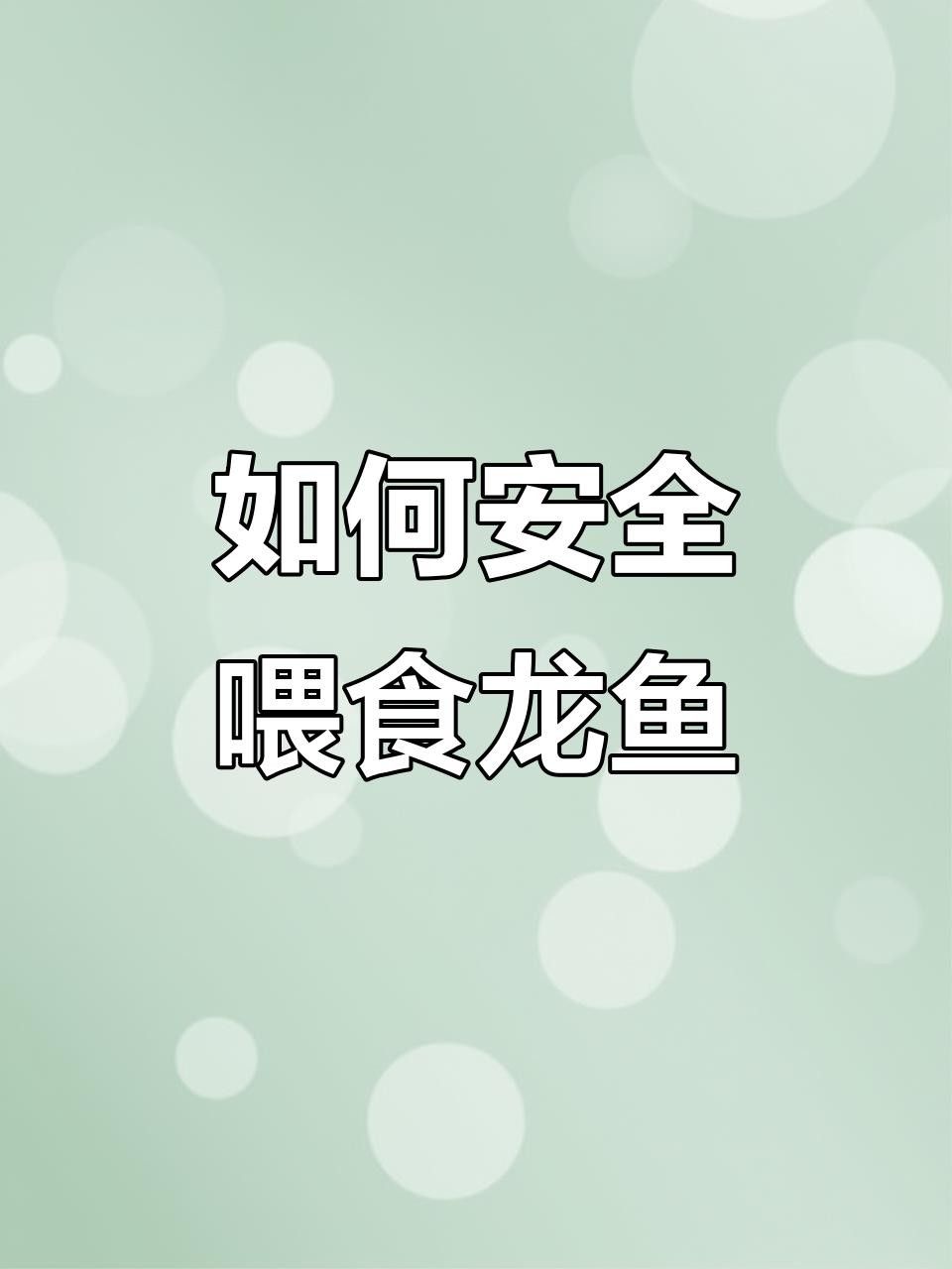 龍魚能吃海蝦嗎怎么喂