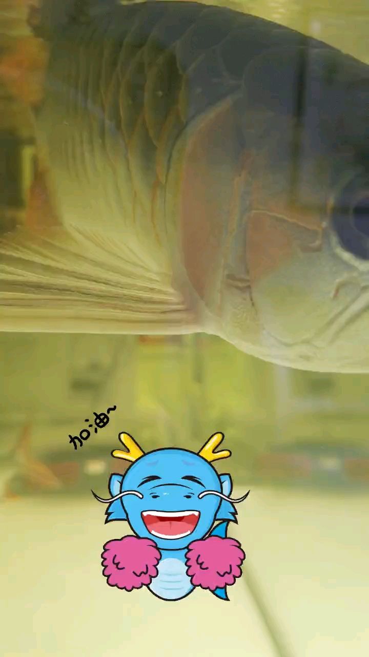 202龍馬精神