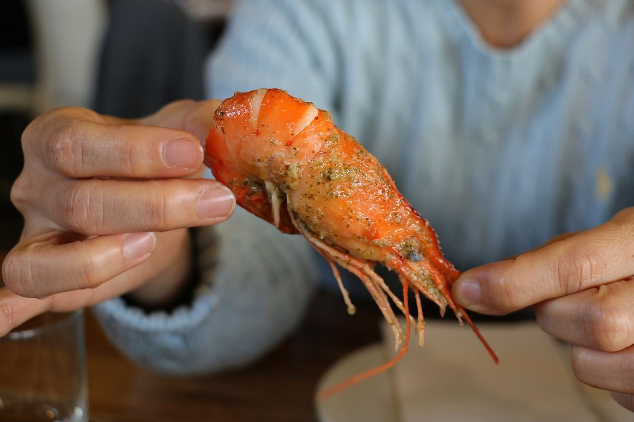 龍魚為什么不吃顆粒料？龍魚不吃顆粒怎么辦？