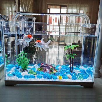 魚缸過(guò)濾器選購(gòu)指南:自制魚缸過(guò)濾器魚缸上置過(guò)濾器對(duì)于養(yǎng)魚愛(ài)好者的必備知識(shí) 提個(gè)小小的建議 觀賞魚百科 提個(gè)小小的建議 提個(gè)小小的建議 觀賞魚百科