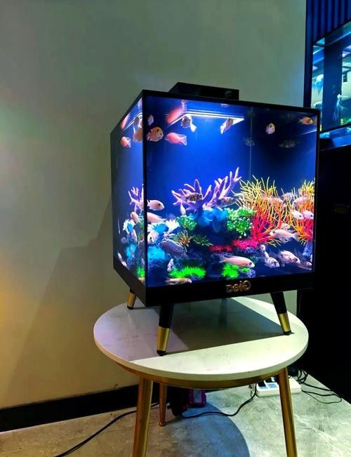水族品牌品牌介紹