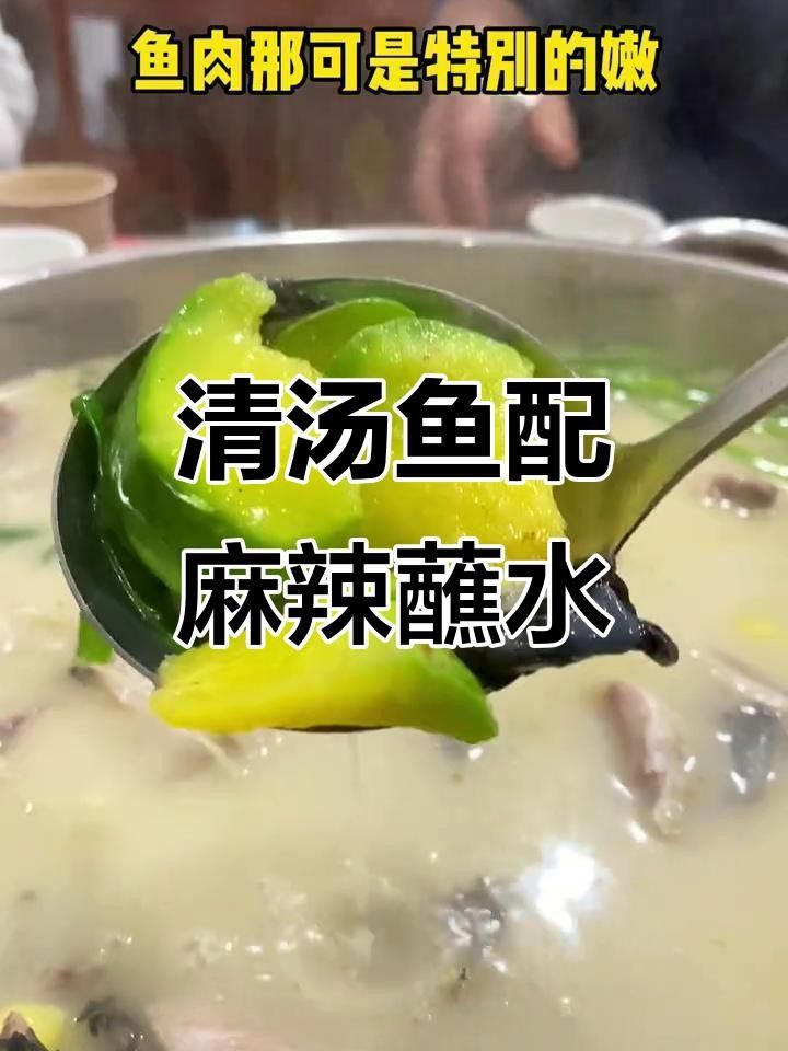 麗江十大名魚